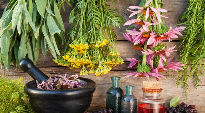 Dự thảo thông tư GLP dự thảo thông tư GLP