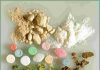 dự thảo đăng ký thuốc cổ truyền