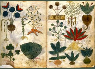 Công văn 3447/QLD-TT cung cấp thông tin liên quan đến ADR của các thuốc chứa Cefotaxim thuốc chứa Cefotaxim