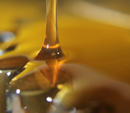 Hướng dẫn sản xuất gia công thuốc