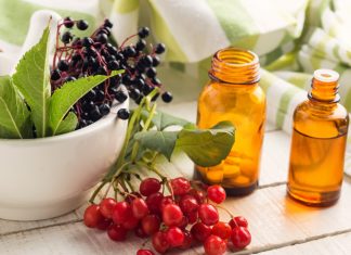 Nghị định điều kiện sản xuất kinh doanh thực phẩm