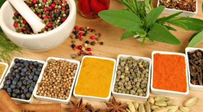 BỔ SUNG GMP PIC ĐỢT 48