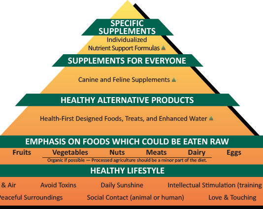Đính chính danh mục nguyên liệu dược chất làm thuốc