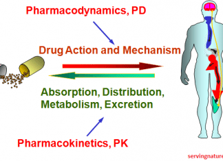 Nghị định 70/2015/NĐ-CP quy định chi tiết và hướng dẫn thi hành một số điều của luật bảo hiểm y tế đối với quân đội nhân dân, công an nhân dân và người làm công tác cơ yếu Nghị định 70/2015/NĐ-CP