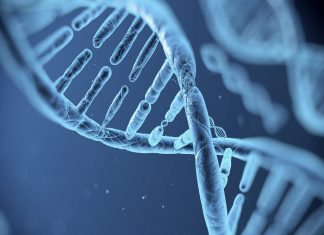 Nghị định 43/2017/NĐ-CP về nhãn hàng hóa