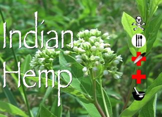 The official letter 15113/QLD-ĐK