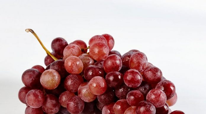 Công văn 8185/QLD-ĐK