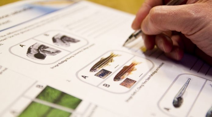 Dự thảo sửa đổi, bổ sung một số điều của thông tư 30/2015/TT-BYT ngày 12/10/2015 quy định việc nhập khẩu trang thiết bị y tế Dự thảo sửa đổi thông tư 30