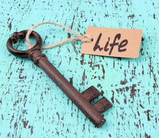 Công văn 6043/QLD-CL