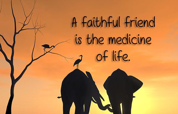 Công văn 8060/QLD-CL