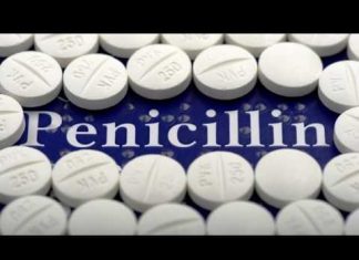 Công văn 13031/QLD-CL