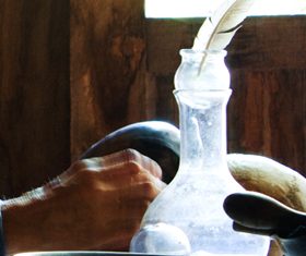 Công văn 11843/QLD-CL