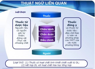 Quyết định 524/QĐ-QLD