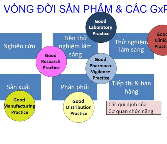 Công văn 8029/QLD-CL