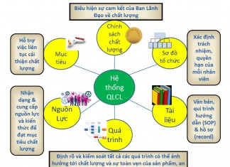 Công văn 12597/QLD-TT cung cấp thông tin liên quan đến tính an toàn của thuốc chứa Azithromycin, Clozapin, Mycophenolate mofetil hoặc Clopidogrel Công văn 12597/QLD-TT