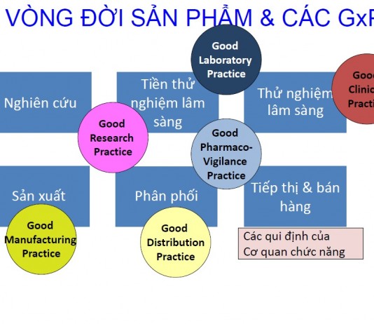 Quyết định 282/QĐ-QLD