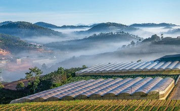 Công văn 12595/QLD-KD