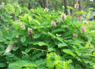 Công văn 13400/QLD-ĐK