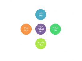 Bài 1 Đại cương về Dược động học