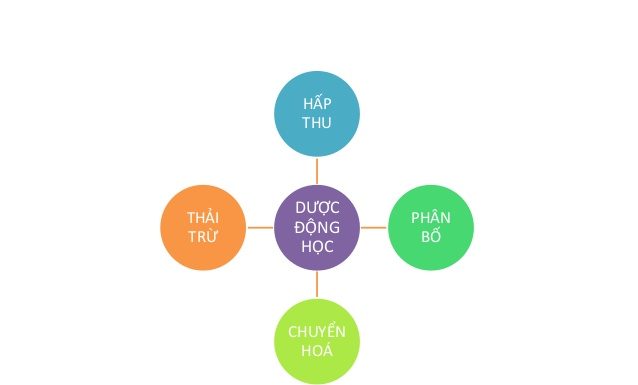 Bài 1 Đại cương về Dược động học