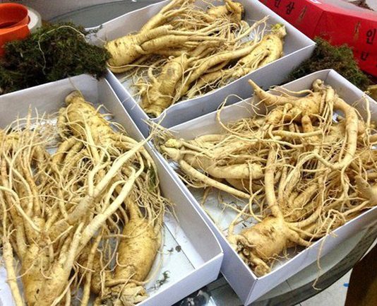 CÔNG VĂN 13686/QLD-ĐK