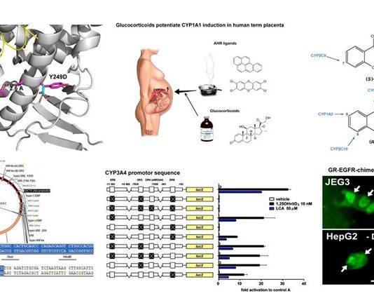 Dự thảo thông tư sửa đổi Thông tư số 279