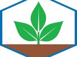 Công ty CP thuốc sát trùng việt nam