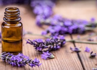 Công văn 18366/QLD-ĐK