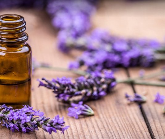 Công văn 18366/QLD-ĐK