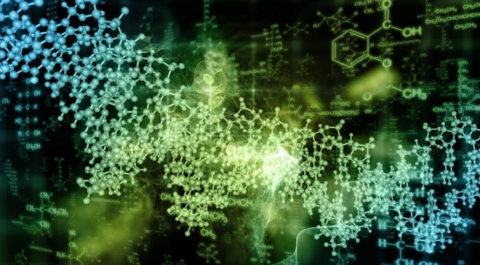 5051/QĐ-BCT Điều chỉnh mã số hàng hóa nhập khẩu