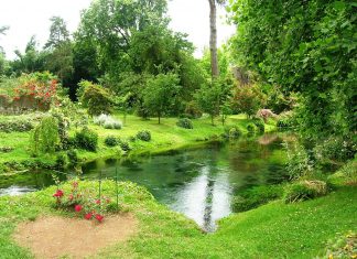 Quyết định 559/QĐ-QLD ban hành 01 thuốc sản xuất trong nước đợt 159 bổ sung Quyết định 559/QĐ-QLD