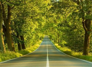 Thông tư 46/2017/TT-BYT