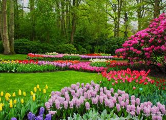 Công văn 20537/QLD-ĐK danh mục nguyên liệu không yêu cầu gpnk Công văn 20537/QLD-ĐK