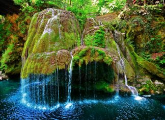 Công văn 20510/QLD-CL