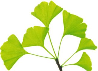 Công văn 20538/QLD-ĐK