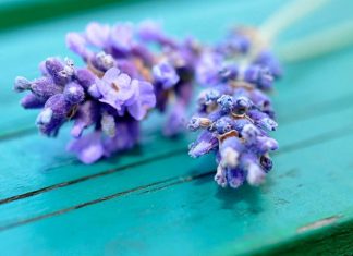 Công văn 20540/QLD-ĐK