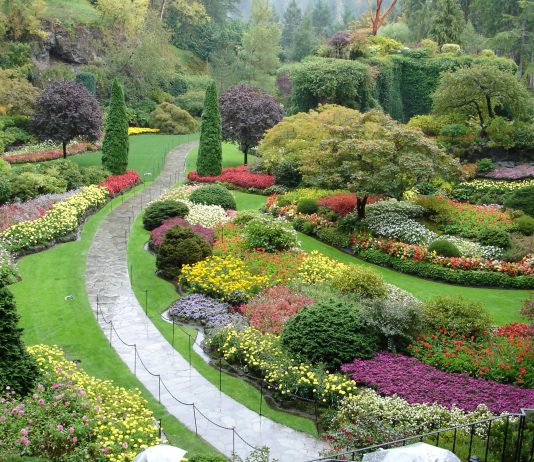 The official letter 20534/QLD-ĐK