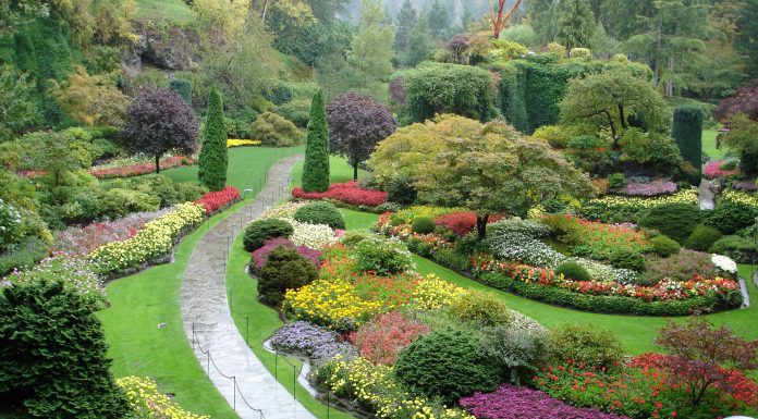 The official letter 20534/QLD-ĐK