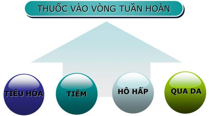 Hấp thu thuốc