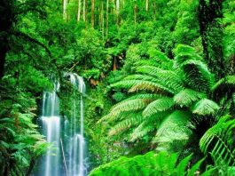 Công văn 21944/QLD-ĐK