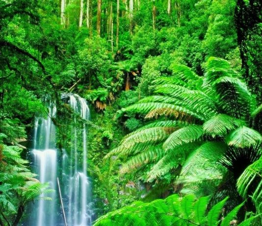 Công văn 21944/QLD-ĐK