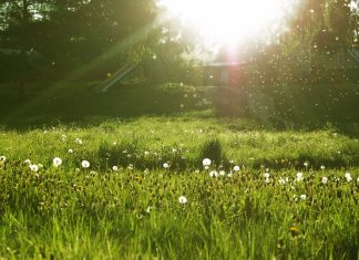 Công văn 1629/QLD-ĐK