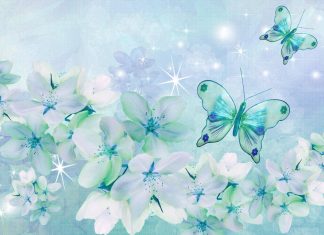 Công văn 229/QLD-ĐK công bố bổ sung danh mục nguyên liệu không yêu cầu GPNK Công văn 229/QLD-ĐK