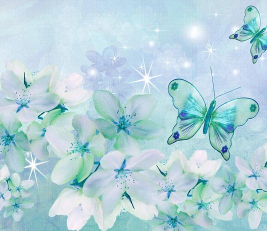 Công văn 229/QLD-ĐK