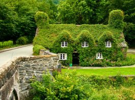 Công văn 22374/QLD-ĐK