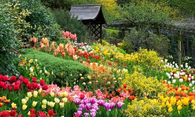 Thông tư 52/2017/TT-BYT