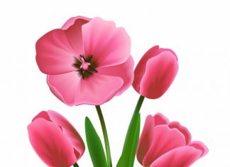 Quyết định 99/QĐ-QLD năm 2018 danh mục 846 thuốc sản xuất trong nước Quyết định 99/QĐ-QLD năm 2018