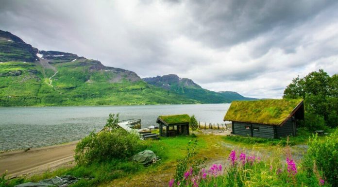 Công văn 2321/QLD-ĐK năm 2018 đính chính công bố danh mục nguyên liệu làm thuốc được nhập khẩu Công văn 2321/QLD-ĐK