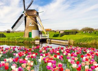 Thông tư 03/2018/TT-BYT