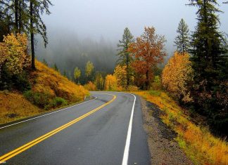 Công văn 2917/QLD-ĐK năm 2018 công bố danh mục nguyên liệu làm thuốc phải thực hiện cấp phép nhập khẩu của thuốc trong nước đã được cấp SĐK Công văn 2917/QLD-ĐK năm 2018